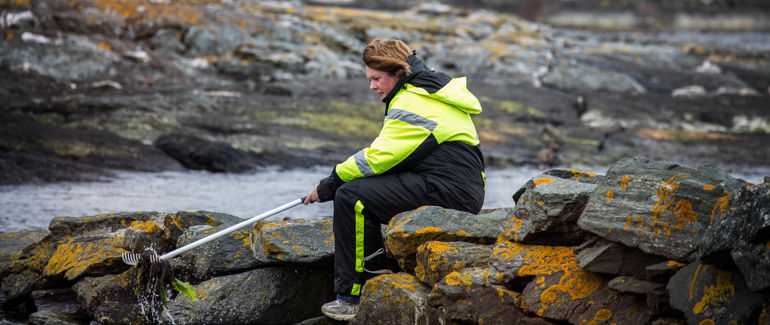 Person som sitter ved havet og henter tang med en rake