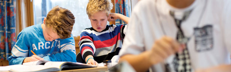Skole