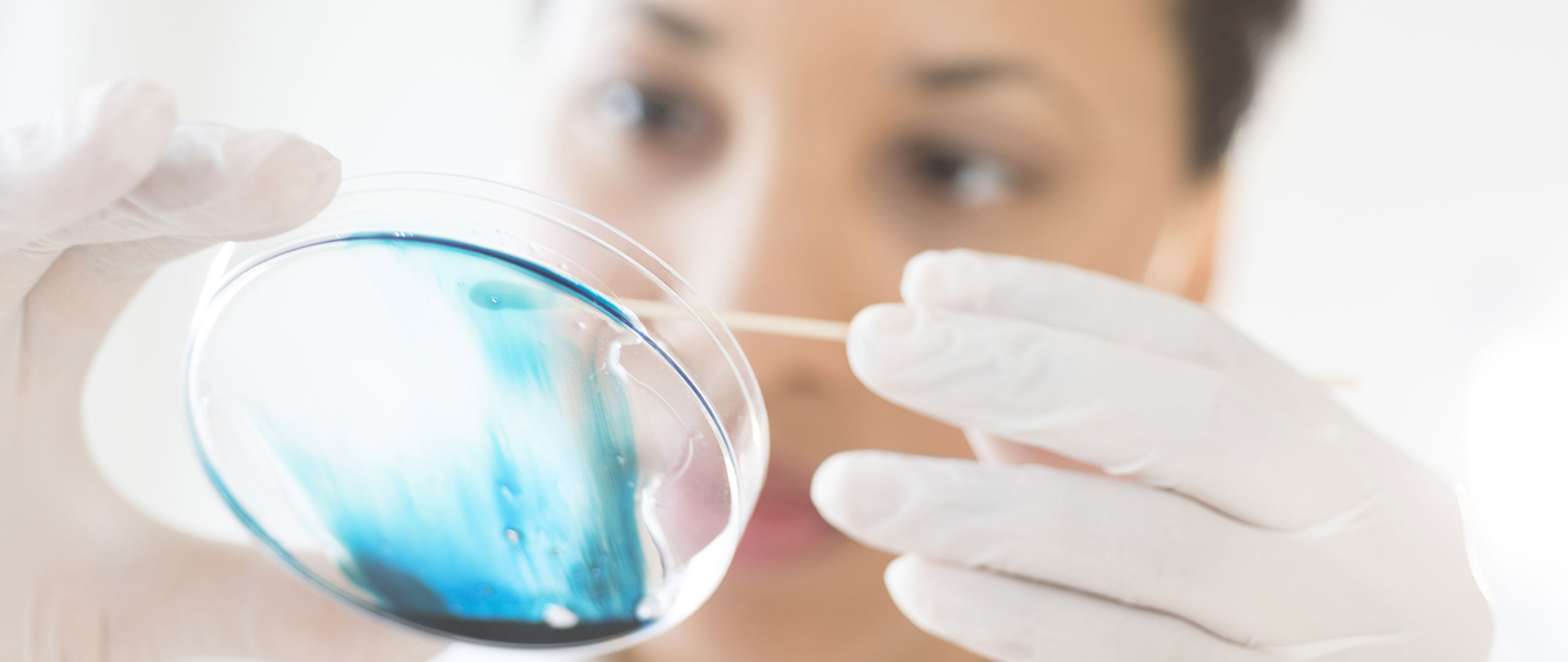 Forsker med petriglass på laboratorium