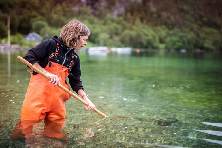 Kvinnelig forsker i vadebukse står i sjøen med en håv 