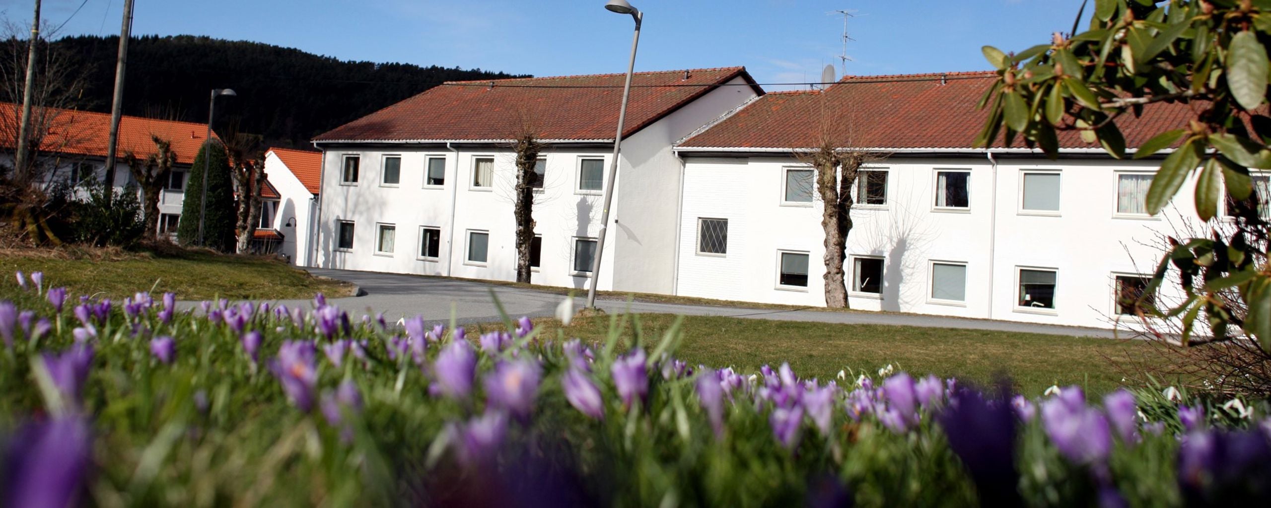 Student accommodation on campus Stord