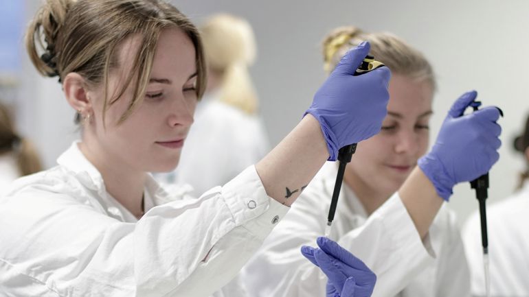 Bioingeniørstudiet ved HVL. 